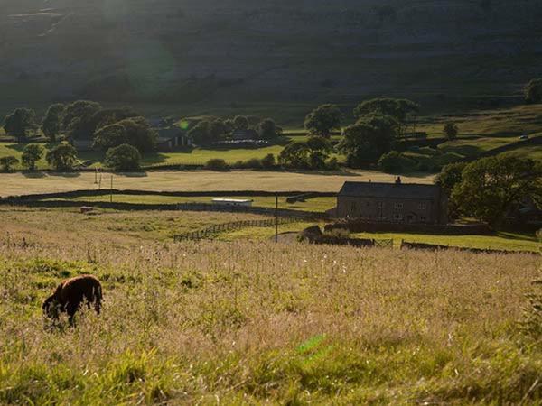 Dale House Farm Cottage Weathercote Εξωτερικό φωτογραφία