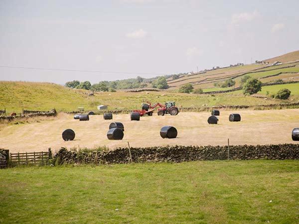 Dale House Farm Cottage Weathercote Εξωτερικό φωτογραφία